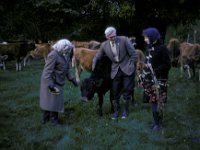 Butterwood Grandad Granny Mum Cows